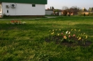 faluszepito_egyesulet_15