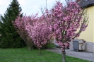 faluszepito_egyesulet_22