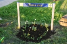 faluszepito_egyesulet_31