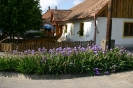 faluszepito_egyesulet_32