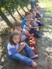 almaszuret_19