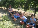 almaszuret_23