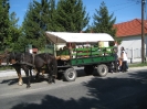 mihaly_nap_45