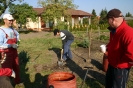 soveny_ultetes_21