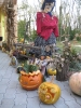 zoldsegfesztival_28