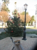 adventi_kirandulas_4
