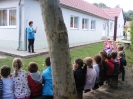 gesztenyebabok_2
