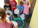 szilvaszuret_16