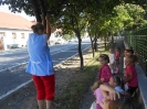 szilvaszuret_1