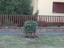 vir_kep_eneserol_74