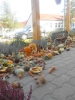 zoldsfeszt_19