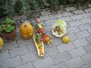 zoldsfeszt_76