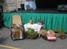Falunap 2014
