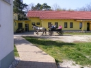 Ifjúsági nap