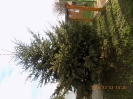adventre_hangolodva_5