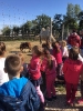 2019_kisfaludi_vadaspark_5