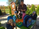2019_kisfaludi_vadaspark_6