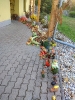 2019_zoldsegfesztival_5